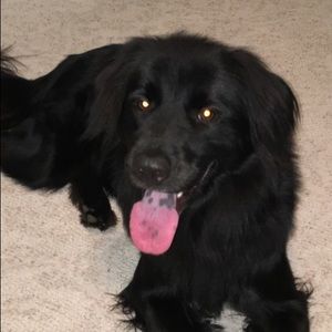 Meet your Posher, Becca